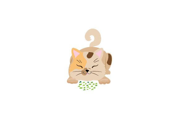 Cat Reacting to Catnip