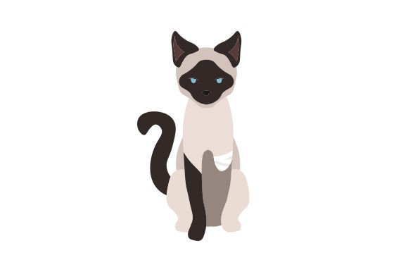 Disabled Cat Embroidery Design